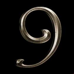 Icon 13
