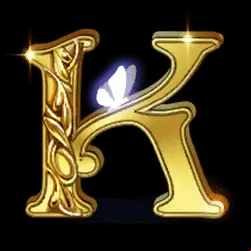 Icon 12
