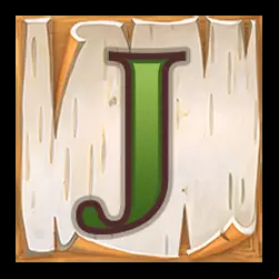 Icon 9