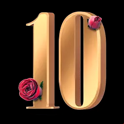 Icon 11