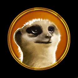Icon 6