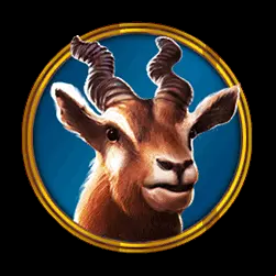 Icon 5
