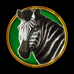 Icon 4