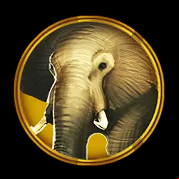 Icon 2