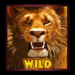 Wild