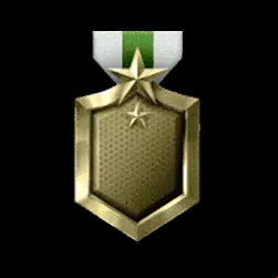 Icon 10