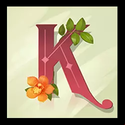 Icon 6