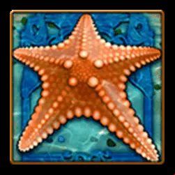 Icon 3