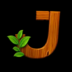 Icon 9
