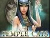 Temple Cats