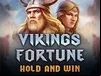 Vikings Fortune: Hold And Win
